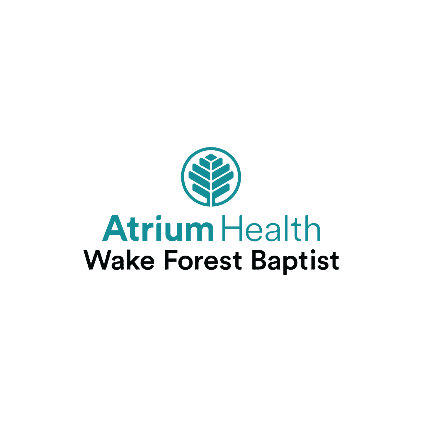 Member Spotlight: Atrium Health Wake Forest Baptist - Greensboro ...